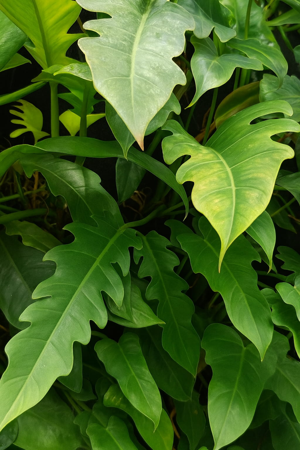 May Flowers Horticulture Installation 20